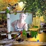 Lilimar1 stripchat livecam show performer room profile