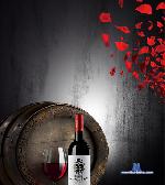 Abril_Scott stripchat livecam show performer room profile