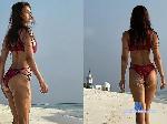 sexyalena stripchat livecam show performer room profile