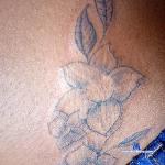 jennifer011 stripchat livecam show performer room profile