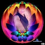 NaomieSexy stripchat livecam show performer room profile