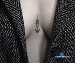 dominique_2301 stripchat livecam show performer room profile