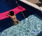 alyson_fox stripchat livecam show performer room profile