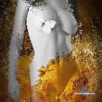 _Layla_girl stripchat livecam show performer room profile