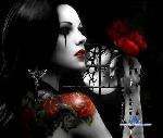 delikeiira stripchat livecam show performer room profile