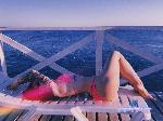 givemebacardi stripchat livecam show performer room profile