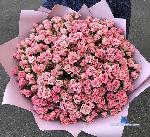 BonnieMiers_ stripchat livecam show performer room profile