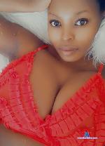 choctay stripchat livecam show performer room profile