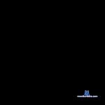Veronica_Saenz stripchat livecam show performer room profile