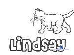 lindsay_bro stripchat livecam show performer room profile