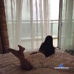 LanaLuni stripchat livecam show performer room profile