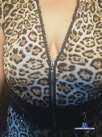 xlovemetonight stripchat livecam show performer room profile