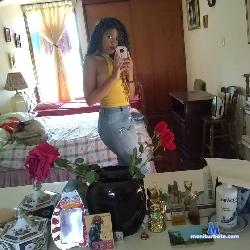Ivy_Sherwood stripchat livecam performer profile