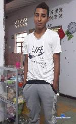 wilsex_hot stripchat livecam show performer room profile