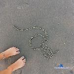 dulce_nk_ stripchat livecam show performer room profile