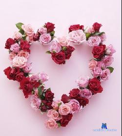 kimrossex stripchat livecam performer profile