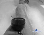 violeta_luu stripchat livecam show performer room profile