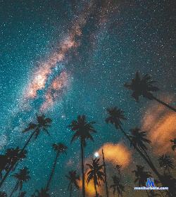 Leejami stripchat livecam performer profile