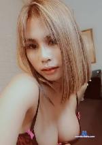 Asiasusu stripchat livecam show performer room profile