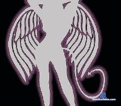 melody-kuromi stripchat livecam performer profile