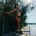 Addelliemiss stripchat livecam show performer room profile