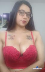 stefania_hugeboobs stripchat livecam show performer room profile