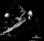 itssweetMia stripchat livecam show performer room profile