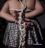 Aria_bbw stripchat livecam show performer room profile
