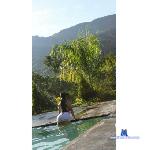 honey_nyna1 stripchat livecam show performer room profile