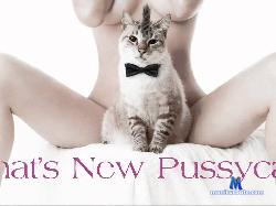 NIKITA_babe stripchat livecam performer profile
