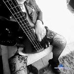 Dibliky_doll stripchat livecam show performer room profile