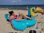 CaptiousBrazil stripchat livecam show performer room profile
