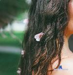 miia_loove stripchat livecam show performer room profile