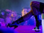 alanamiller123 stripchat livecam show performer room profile