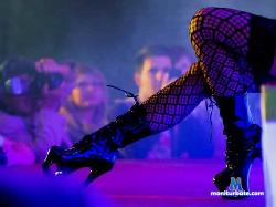 alanamiller123 stripchat livecam performer profile
