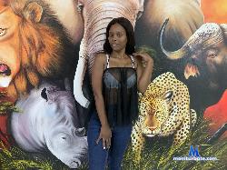 BlackForest3578 stripchat livecam performer profile