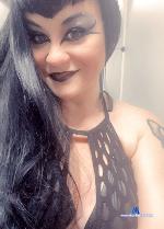 MarcindaDesade stripchat livecam show performer room profile