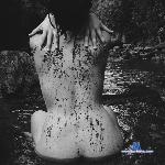 diamond_reds stripchat livecam show performer room profile