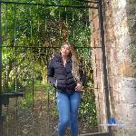_pamela_45 stripchat livecam show performer room profile
