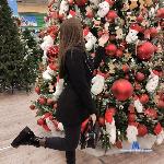 Eli3she stripchat livecam show performer room profile