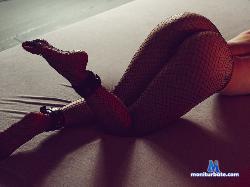In_cognitagirl stripchat livecam performer profile