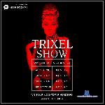 TRIXEL_Show stripchat livecam show performer room profile