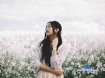 Hiraki1ey stripchat livecam show performer room profile