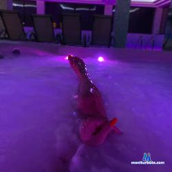 xAmeliaPricex stripchat livecam performer profile
