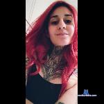 nore_noub stripchat livecam show performer room profile