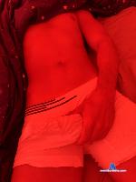 Safo_Dotado stripchat livecam show performer room profile