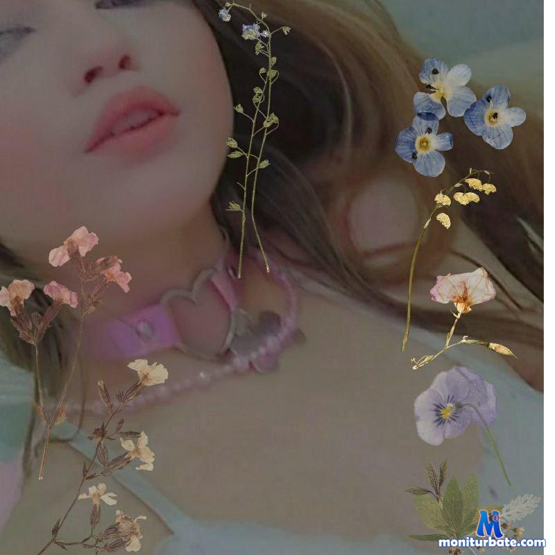 Nymph_Eva Stripchat performer girls hair Color Blonde private Price Thirty Two Sixty auto Tag Interactive Toy do Shower auto Tag Lovense do Squirt do Striptease do Fingering specific Shaven mobile auto Tag Hd age Teen ethnicity White body Type Petite hair Color Red private Price Ninety Plus do Topless do Anal do Blowjob do Nipple Toys do Deep Throat do Doggy Style subculture Student hair Color Black specific Small Tits auto Tag Recordable Private sexting small Audience auto Tag New auto Tag P2 P do Dildo Or Vibrator do Anal Toys do Ass To Mouth do Ahegao do Spanking do Double Penetration auto Tag Recordable Public