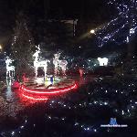 Leoloria stripchat livecam show performer room profile