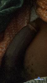 blackholland stripchat livecam show performer room profile