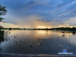 Biscotti69 stripchat livecam performer profile